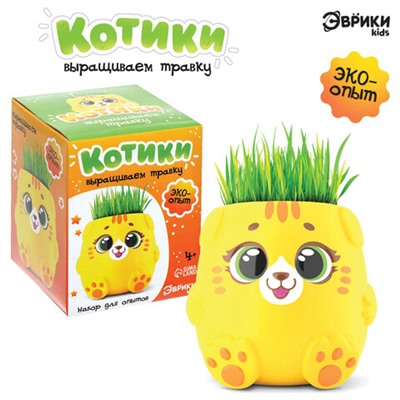 Набор для опытов "Котики. Выращиваем травку", жёлтый горшочек, 9415588