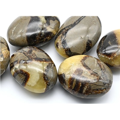 Минерал септария 51*43*28мм, 80-89г