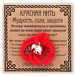 KN037-3 Красная нить Мудрость, сила, защита, серебр. (слон)