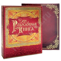 Родословная книга "История семьи"