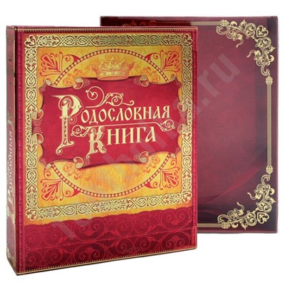 Родословная книга "История семьи"