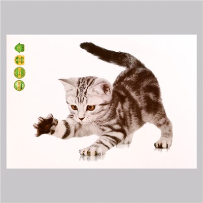 Наклейка 3Д интерьерная Котик 29*21см
