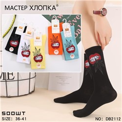 Носки женские Мастер Хлопка 5шт