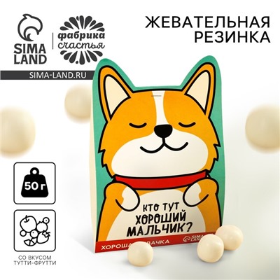 Жевательная резинка «Кто тут хороший мальчик?», вкус: тутти-фрутти, 50 г.