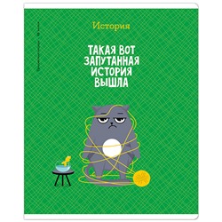 Тетрадь предметная 48л. ArtSpace "Котоцинизм" - История, ТВИН-лак