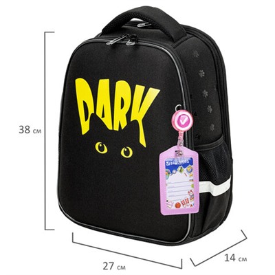 Ранец BRAUBERG FIT, 2 отделения, "Dark cat", 38х27х14 см, 272026