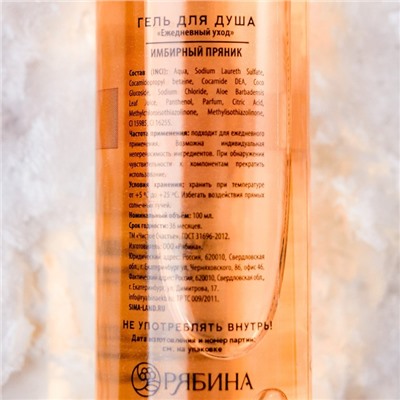 Гель для душа, 100 мл, аромат имбирного пряника, Чистое счастье