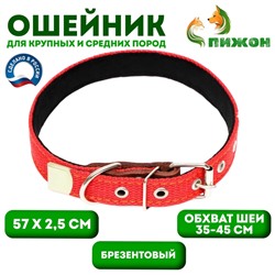 Ошейник брезентовый с подкладом, 57 х 2,5 см, ОШ 35-45 см, красный