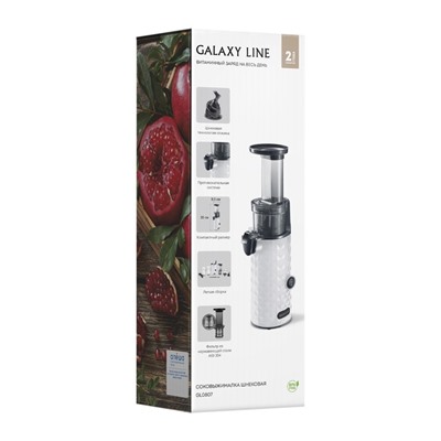 Соковыжималка Galaxy LINE GL 0807, шнековая, 200 Вт, 0.5/0.45 л, реверс, чёрно-белая