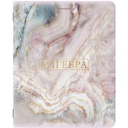 Тетрадь предметная "PASTEL" 48 л., SoftTouch, фольга, АЛГЕБРА, клетка, BRAUBERG, 404309