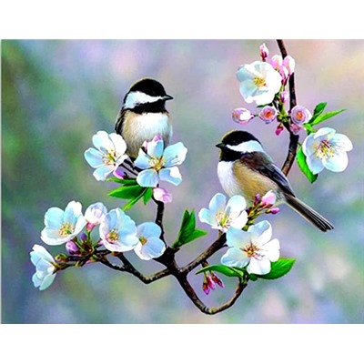 Алмазная мозаика/ подрамник/ полная выкладка/ круглые стразы/ 30х30см/ арт.GLC51613 ПТИЦЫ