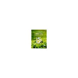 DEOPROCE GREEN TEA CREAM MASK Тканевая маска для лица с кремовой пропиткой с экстрактом зелёного чая 25мл