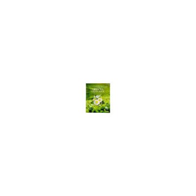 DEOPROCE GREEN TEA CREAM MASK Тканевая маска для лица с кремовой пропиткой с экстрактом зелёного чая 25мл