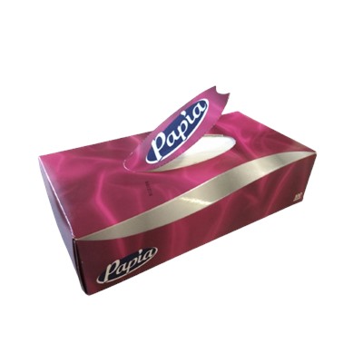 Бумажные салфетки Papia 2 слоя, 100 шт.