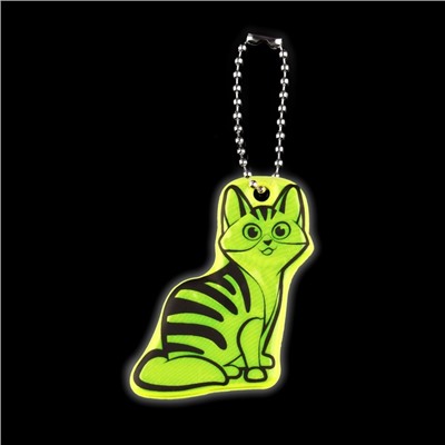 Светоотражающий элемент «Кошечка», двусторонний, 5,9 × 4,7 см, цвет МИКС