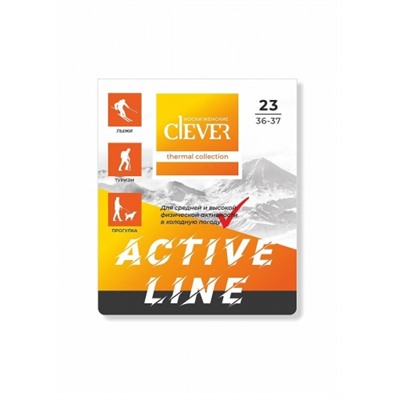 CLEVER Носки жен. спорт махра плюш S607П