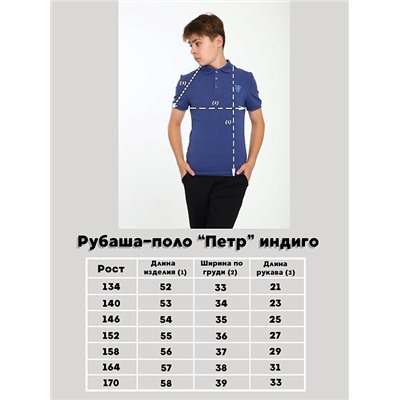Детская футболка-поло "Петр" / Индиго