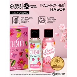 Подарочный набор «Сияй от счастья», гель для душа и пена для ванны, 2×100 мл, Чистое счастье