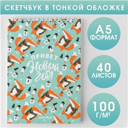 Скетчбук А5, 40 листов, в мягкой обложке, на гребне, 100 г/м² «Привет, Новый год!»