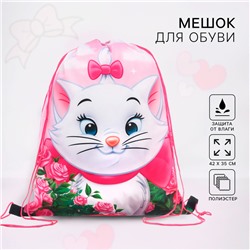 Мешок для обуви 420×330 мм, «Кошечка Мари, Коты аристократы»