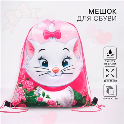 Мешок для обуви 420×330 мм, «Кошечка Мари, Коты аристократы»