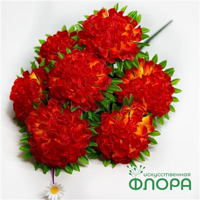 Букет "Шафран 7 голов" (Микс уп. 20 шт.) (А-24) РЯД