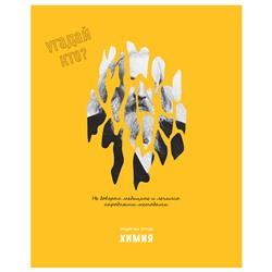 Тетрадь предметная 48л. BG "Угадай кто" - Химия, матовая ламинация, выб. лак