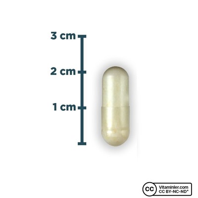 Nature's Supreme Probiotic 5B 60 капсул