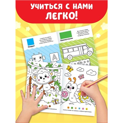 Набор раскрасок, 8 шт. по 12 стр.