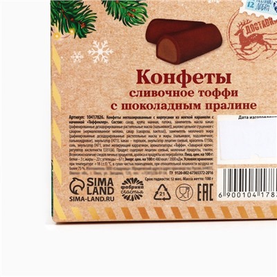 Конфеты на новый год шоколадные в коробке «Полярная почта», 100 г
