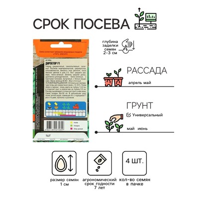 Семена огурца "Директор", F1, 4 шт.
