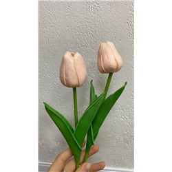 Тюльпан латекс