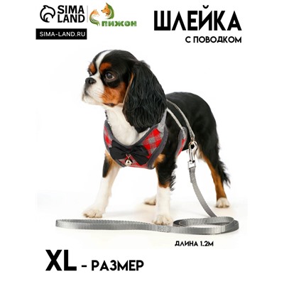 Комплект амуниции с мягкой шлейкой, XL, поводок 120 х 1,5 см, ОШ 38-52 см, ОГ 42-60 см, красный   47