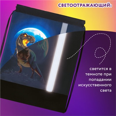 Мешок для обуви ЮНЛАНДИЯ, плотный, светоотражающая полоса, 46х36 см, "Beware", 272412