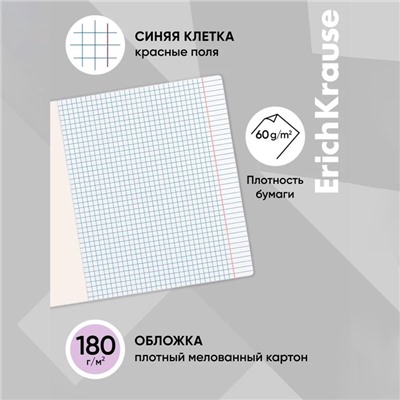 Тетрадь 12 листов в клетку ErichKrause «Классика», обложка мелованный картон, фиолетовая