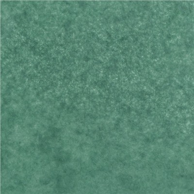 Бумага упаковочная тишью, хвойный, 50×66 см
