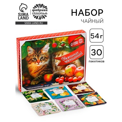 Чай подарочный «Уютных чаепитий», 54 г (30 пакетиков х 1,8 г).