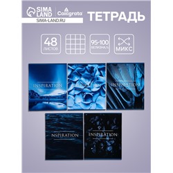 Тетрадь 48 листов в клетку Calligrata «Вдохновение», обложка мелованный картон, МИКС
