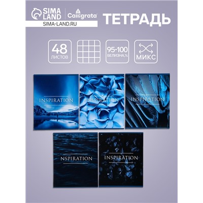 Тетрадь 48 листов в клетку Calligrata «Вдохновение», обложка мелованный картон, МИКС