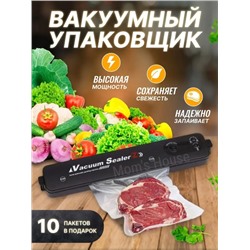 Упаковщик вакуумный  06.01.
