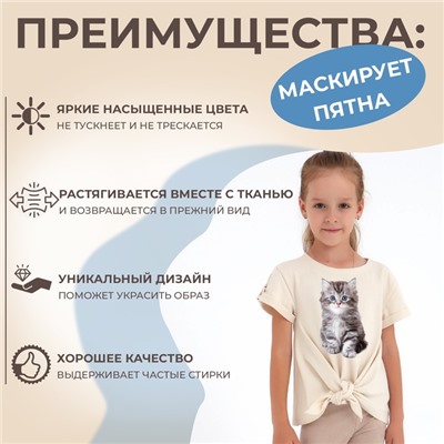 Термотрансфер «Котёнок», 11,6 × 19 см, цена за 1 лист