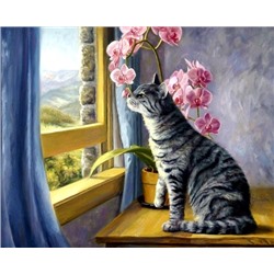 Алмазная мозаика/ подрамник/ полная выкладка/ круглые стразы/ 30х30см/ арт.GLC51562 КОТИК