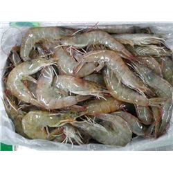 Креветка Королевская Ваннамей с/г с/м 50/60 на кг. ЦЕНА ЗА КОРОБКУ 2 кг