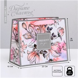 Пакет подарочный ламинированный горизонтальный, упаковка, «Present for you», MS 23 х 18 х 10 см