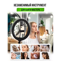 Комплект кругового светодиодного светильника с подсветкой 26см 22.02.