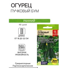 Семена Огурец "Пучковый бум" F1, раннеспелый, партенокарпический, цп, 5 шт
