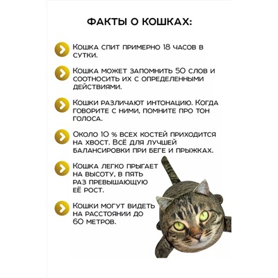 Игрушка-антистресс Кот Василий
