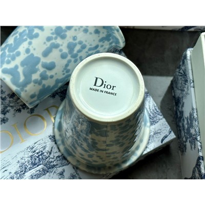 пара Dior