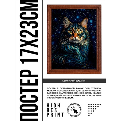 POSV-0404 Постер в рамке 17x23см Звёздный кот
