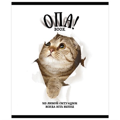 Тетрадь А5, 48 л., ПЗБМ, скоба, клетка, выборочный TWIN лак, "ОПА!" (5 видов), 028664